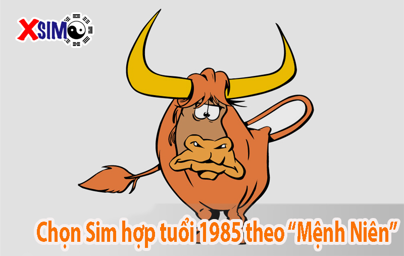 Cách chọn sim hợp tuổi 1985 theo mệnh niên