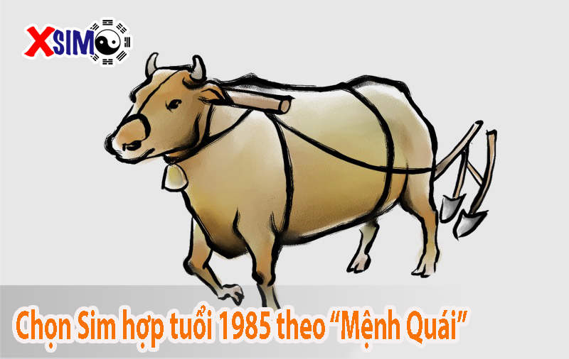 Cách chọn sim hợp tuổi 1985 theo mệnh niên