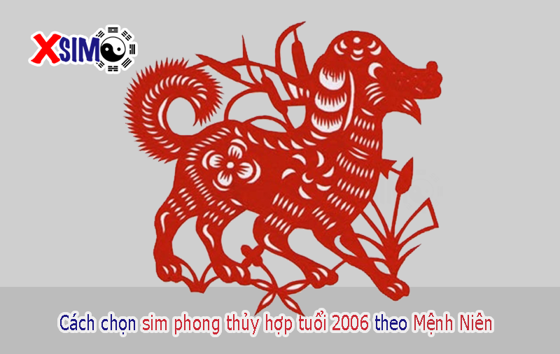 Bí quyết chọn sim phong thủy hợp tuổi 2006 theo mệnh niên