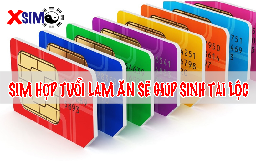 Sim hợp tuổi làm ăn sẽ sinh tài lộc cho chủ sở hữu