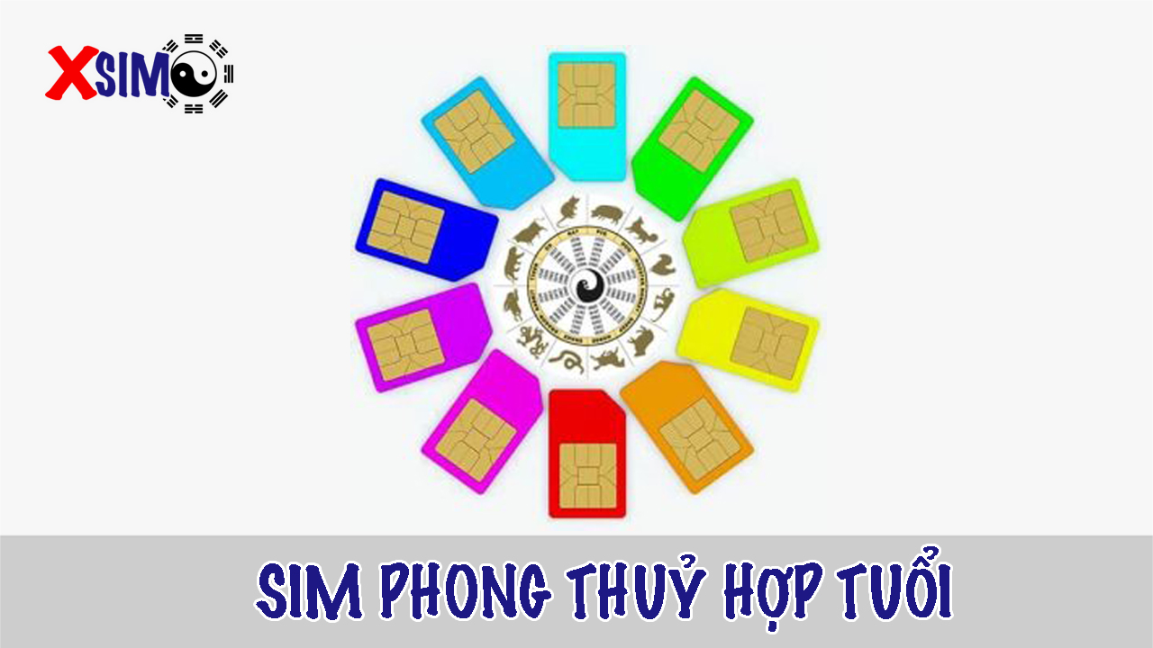 Sim phong thuỷ hợp tuổi hãy lưu ý