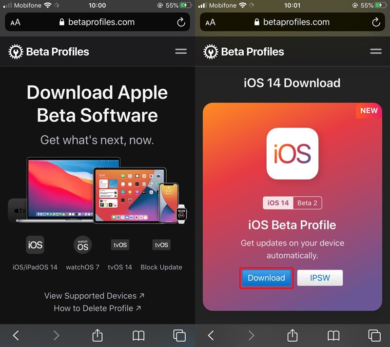 Chọn phiên bản iOS 14 Beta 2 phù hợp với thiết bị của bạn và nhấp vào nút Tải xuống