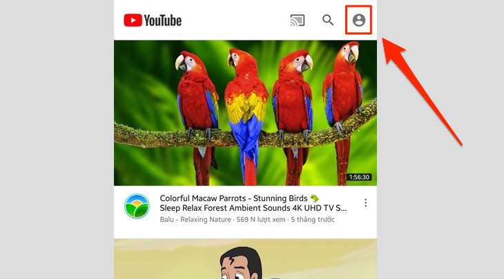 Ứng dụng Youtube trên điện thoại
