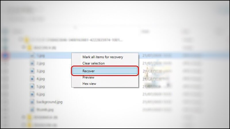 Bước 3: Chọn thư mục / tập tin mà bạn muốn khôi phục.  Nhấp chuột trái vào tệp và cuối cùng chọn Khôi phục. 