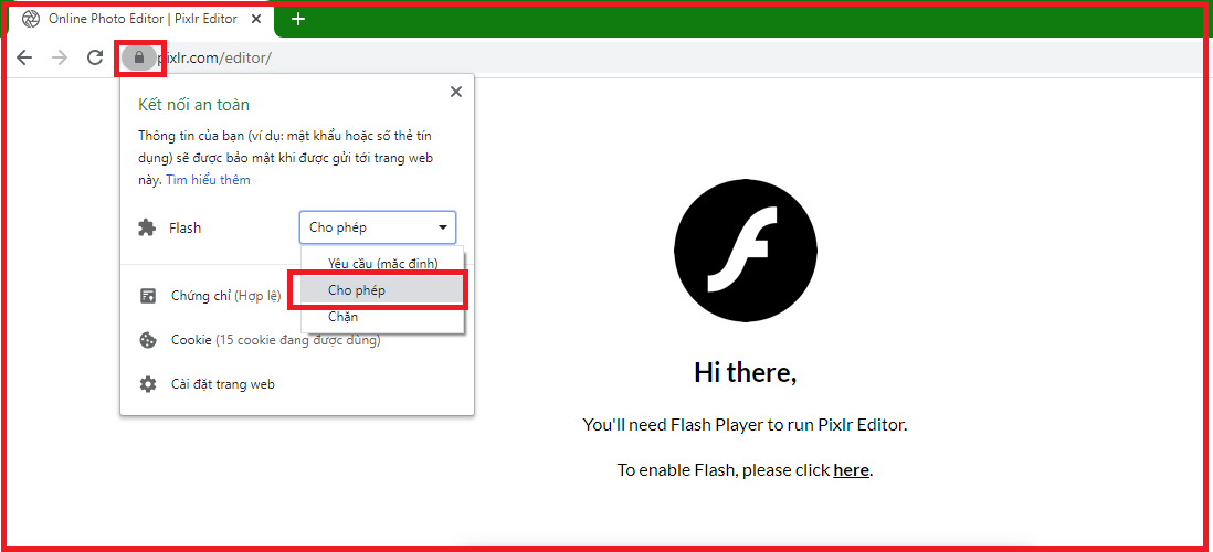 Nhấp vào Flash và chọn Cho phép.