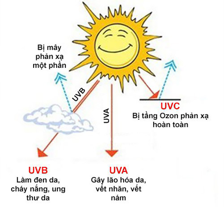 Các loại tia UV