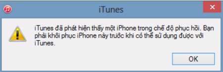 Màn hình thông báo iTunes đã nhận được kết nối với iPhone