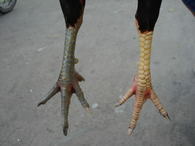 *